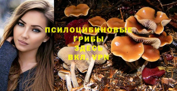 прущие крисы Белоозёрский