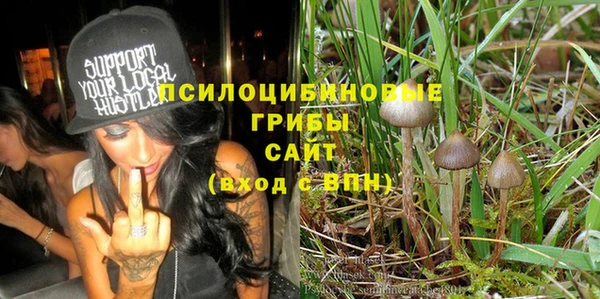 прущие крисы Белоозёрский