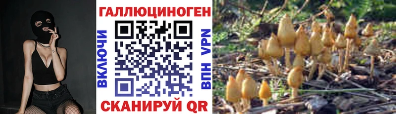 Галлюциногенные грибы Psilocybe  Окуловка 