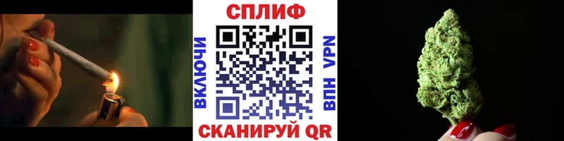 Конопля гибрид  цены   Окуловка 